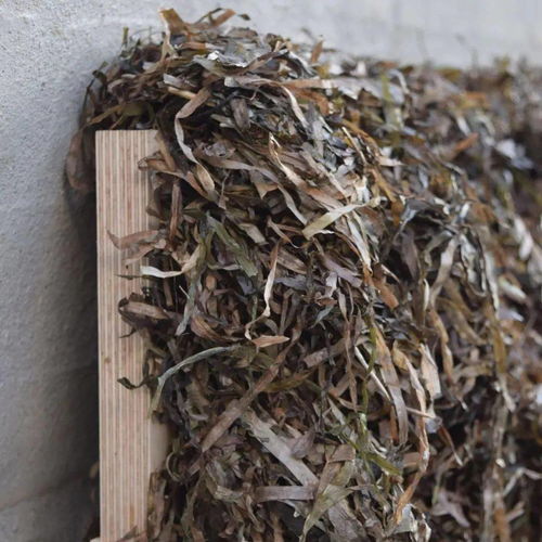 紡織新材料引領未來 2020年最新材料在產品設計中的創(chuàng)新應用與市場銷售展望